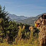 Alpenhof Reuterwanne ホテル