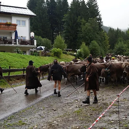 Alpenhof Reuterwanne 酒店 维尔塔赫